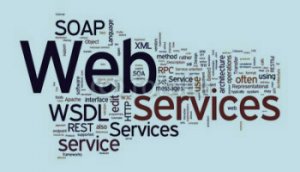 Web  Servisleri